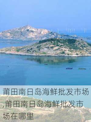 莆田南日岛海鲜批发市场,莆田南日岛海鲜批发市场在哪里